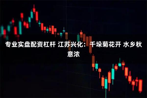 专业实盘配资杠杆 江苏兴化：千垛菊花开 水乡秋意浓