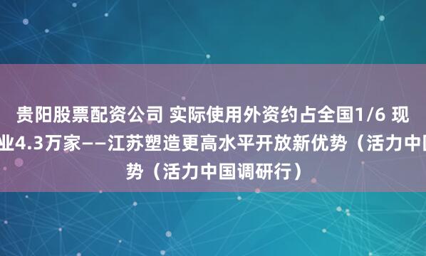 贵阳股票配资公司 实际使用外资约占全国1/6 现有外资企业4.3万家——江苏塑造更高水平开放新优势（活力中国调研行）