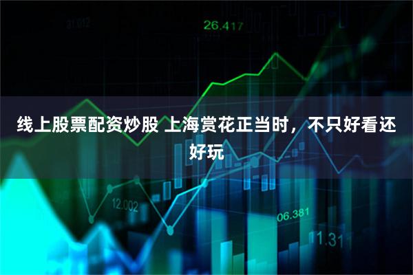 线上股票配资炒股 上海赏花正当时，不只好看还好玩