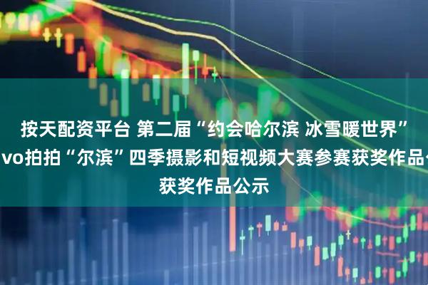 按天配资平台 第二届“约会哈尔滨 冰雪暖世界”暨vivo拍拍“尔滨”四季摄影和短视频大赛参赛获奖作品公示